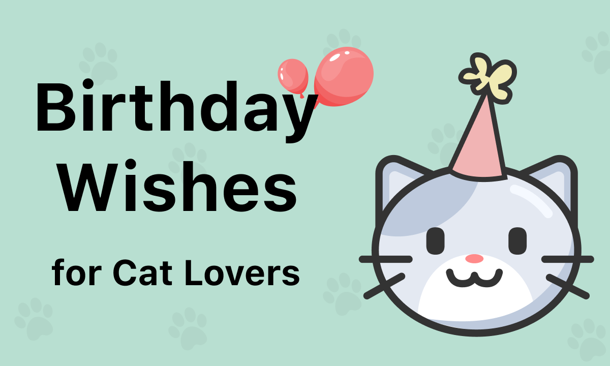 Birthday Wishes for Cat Lovers