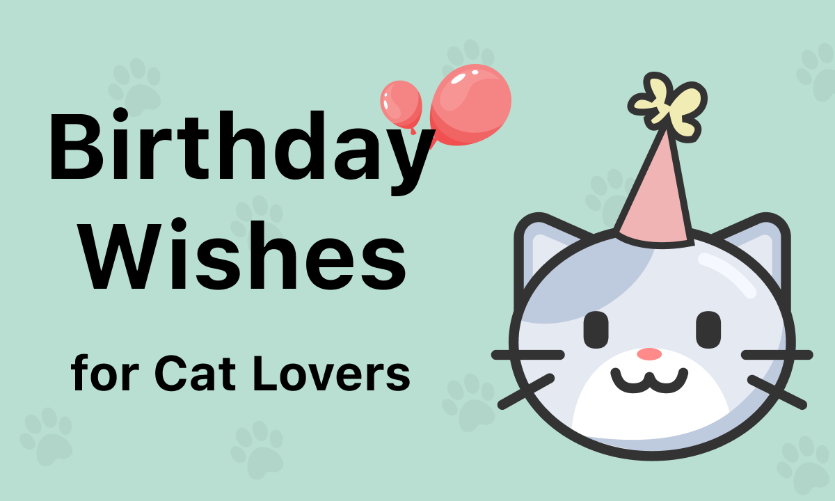 80 Birthday Wishes for Cat Lovers [Free Cards]