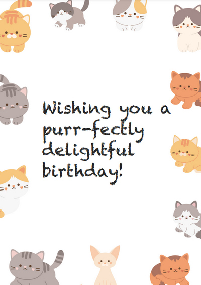 Bright Birthday Card for Cat Lovers