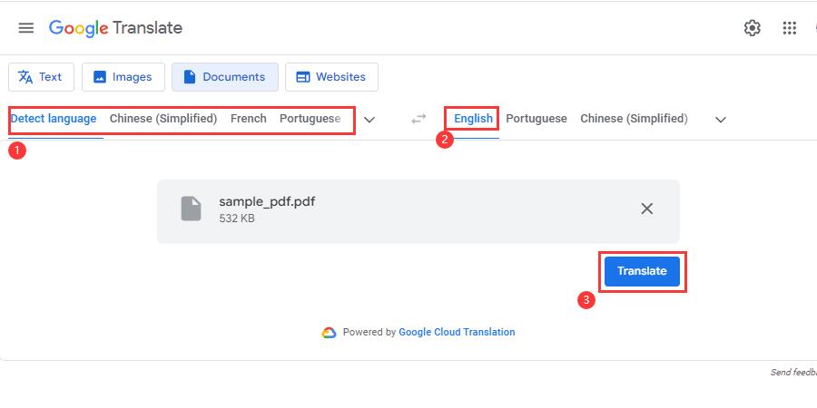 Translate PDF to English 