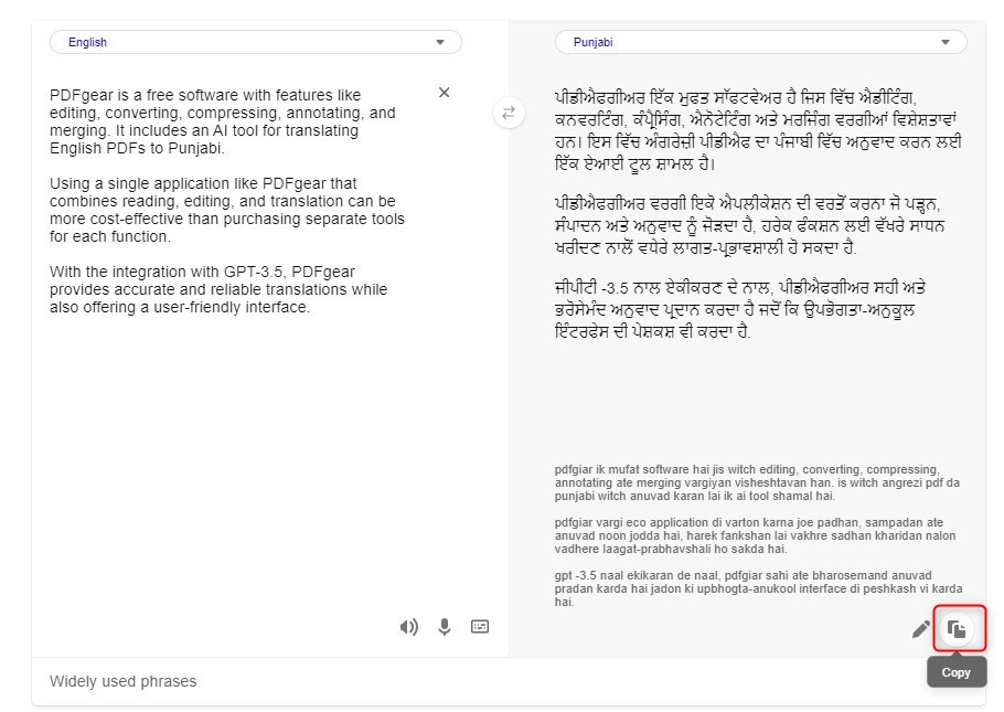 Copy the Translated Punjabi Text
