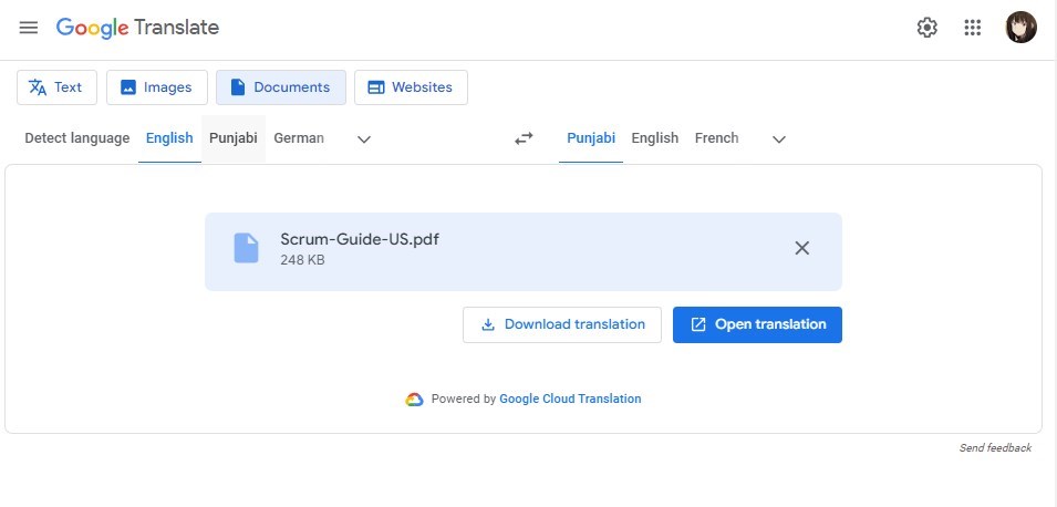 Download or Open the Translation