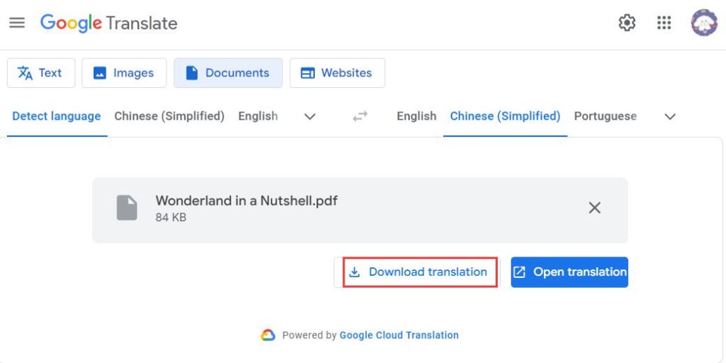 Download Translated PDF Files