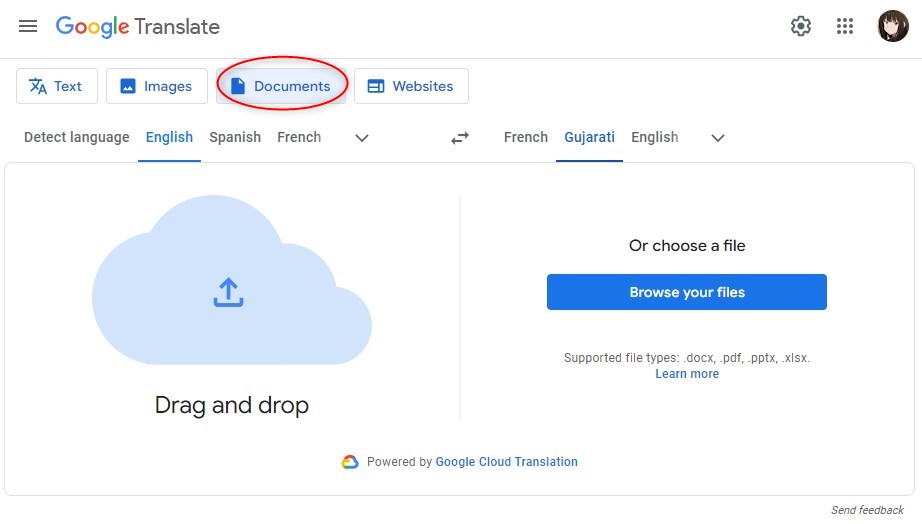 Google Translate for Document