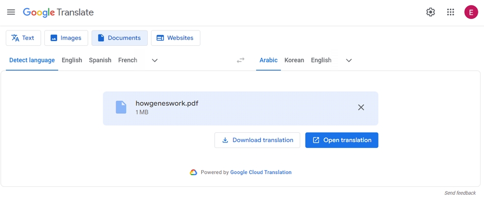Google Translate PDF Reader Translator