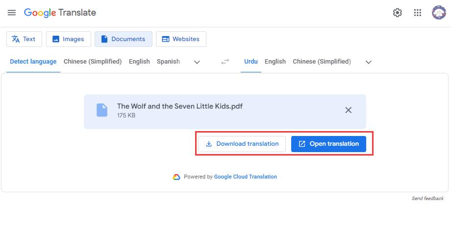 Save Translated Urdu PDF
