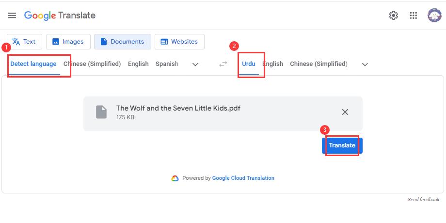 Select Language for Translation
