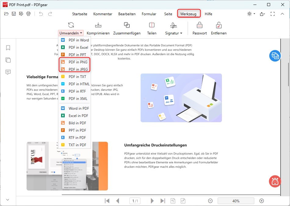 PDF in Bild konvertieren