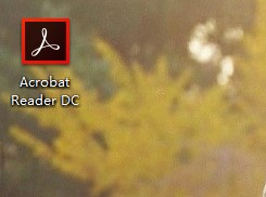 Adobe Acrobat öffnen