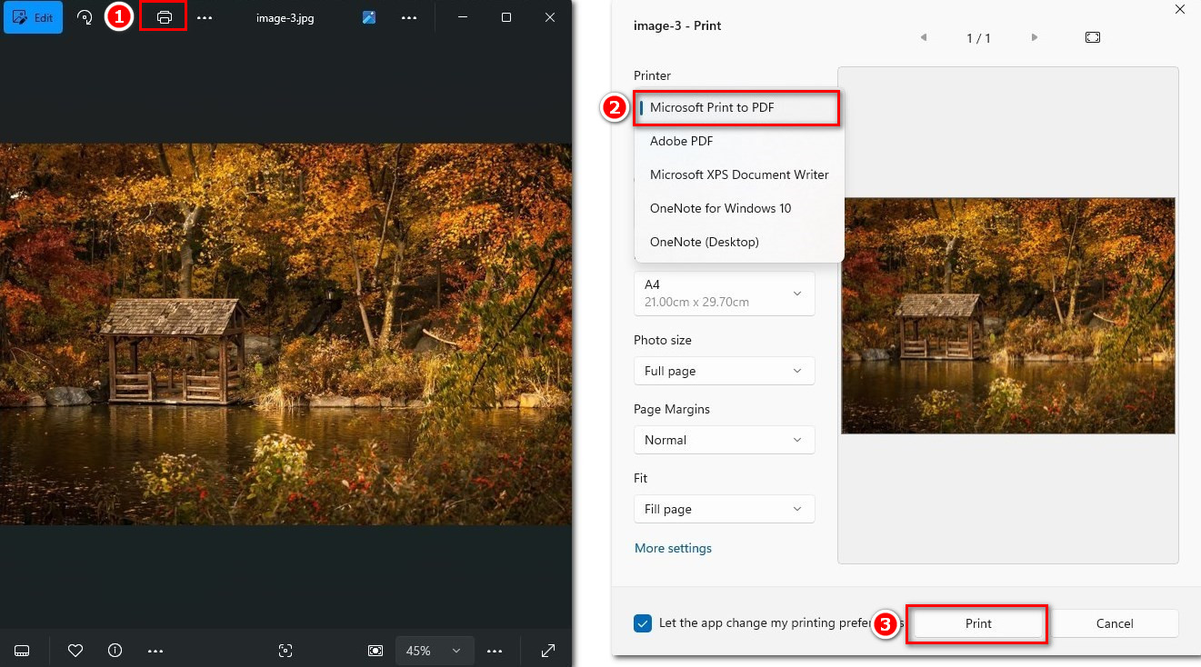 Screenshot auf Windows in PDF konvertieren