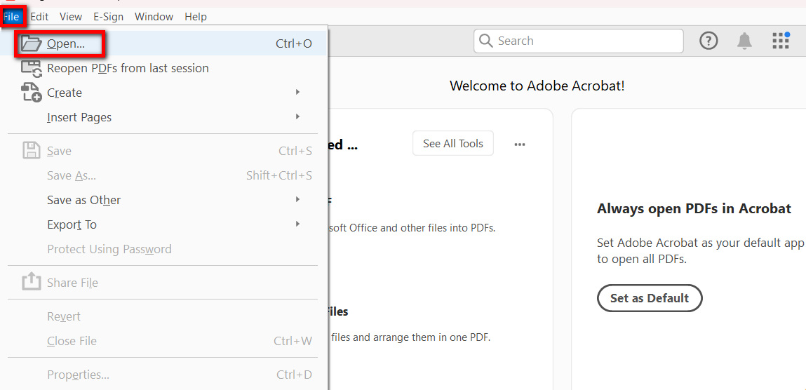 Öffnen Sie ein PDF in Adobe Acrobat Reader