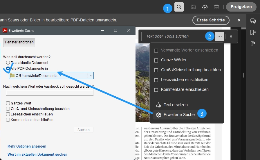 Text in mehreren PDFs suchen