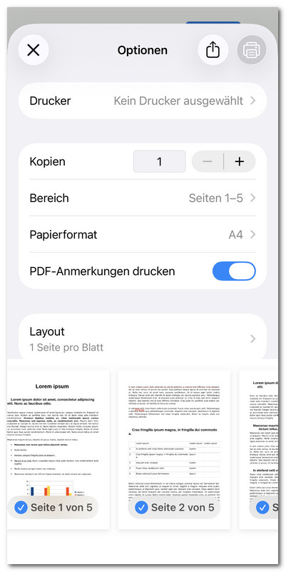 Druckeinstellungen in PDFgear für iOS anpassen