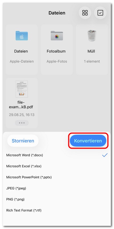 Format zum Konvertieren auswählen