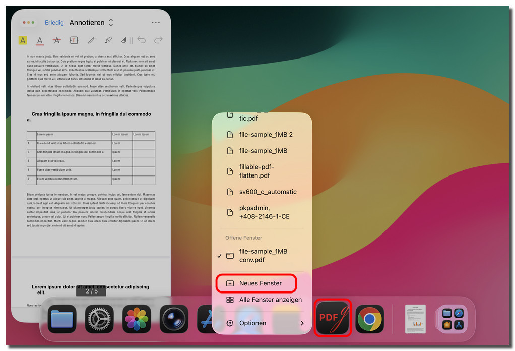 Neues PDFgear-Fenster auf dem iPad öffnen
