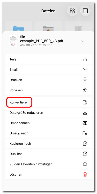 PDF-Konvertierungsoption auswählen