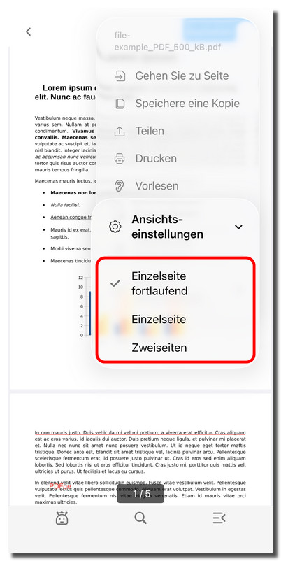 Seitenansichtsmodus auswählen
