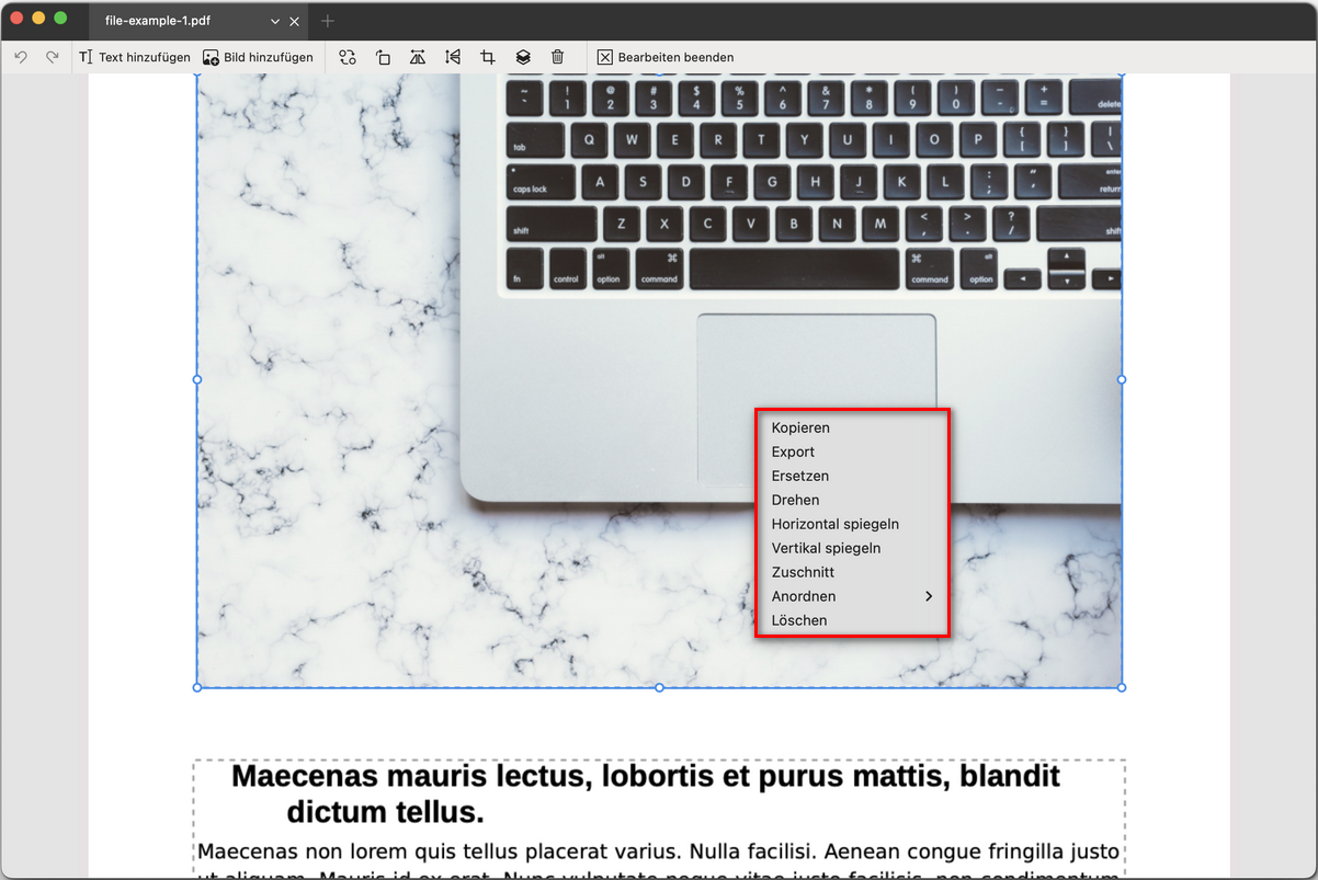 Bild in PDF bearbeiten