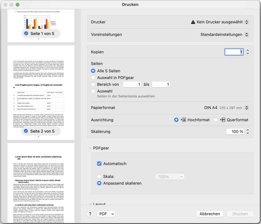 Druckseitenoptionen festlegen