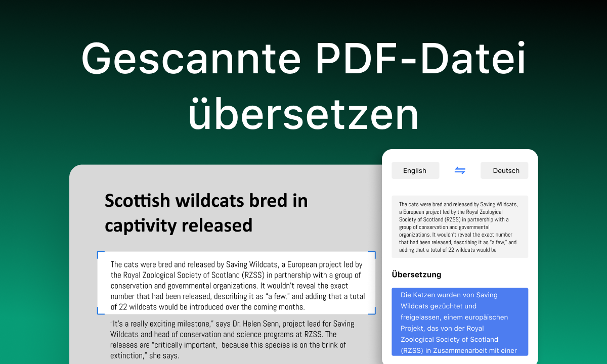 gescannte PDF übersetzen