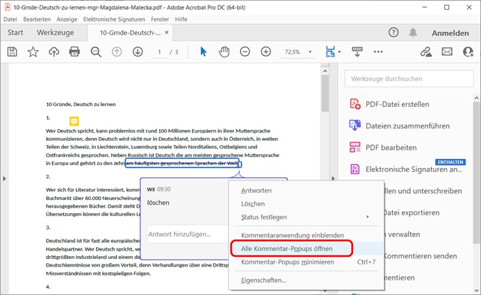 pdf mit sichtbaren Kommentaren drucken