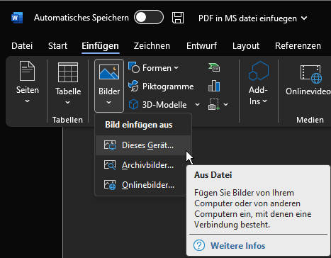 pdf in word einfügen als bild