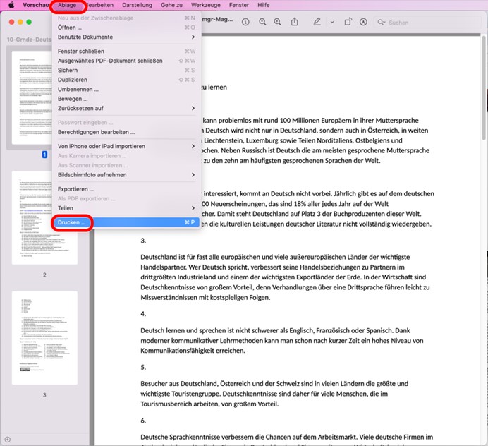 PDF mit Notizen drucken