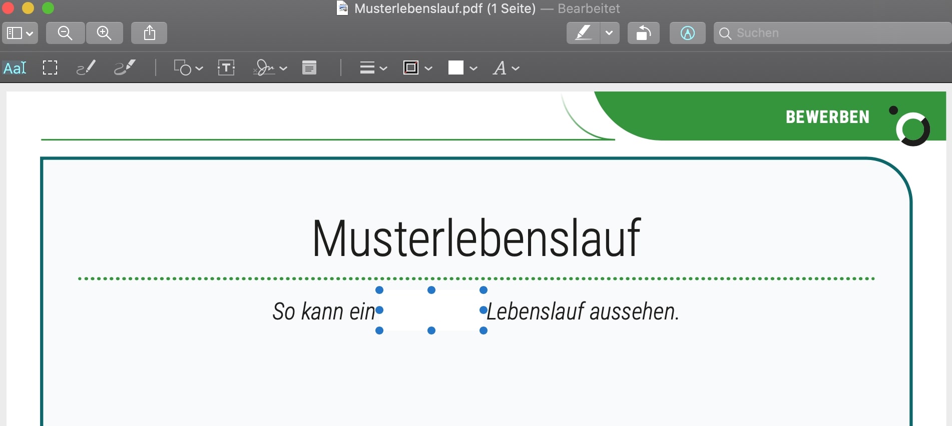 Text in PDF mit Vorschau ausblenden