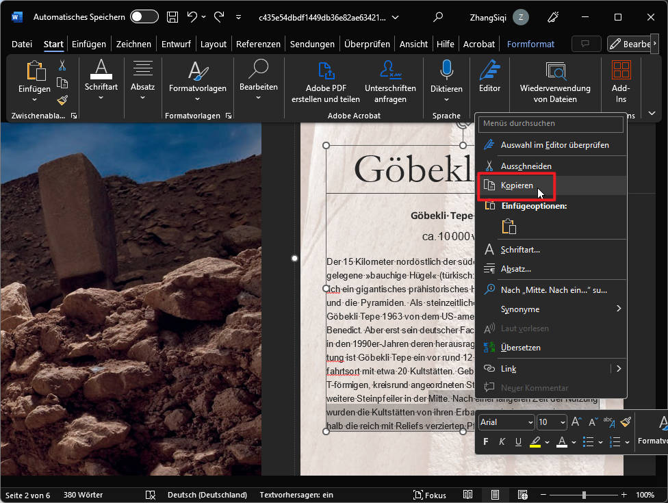 text-in-word-kopieren