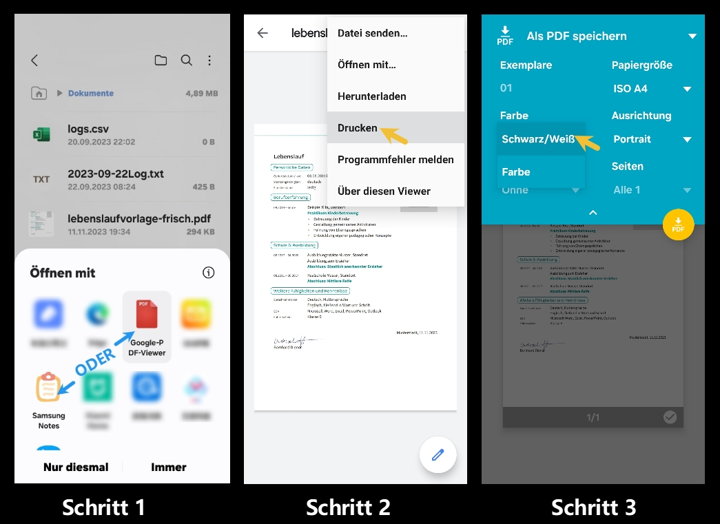 PDF in Schwarzweiß auf Handy drucken