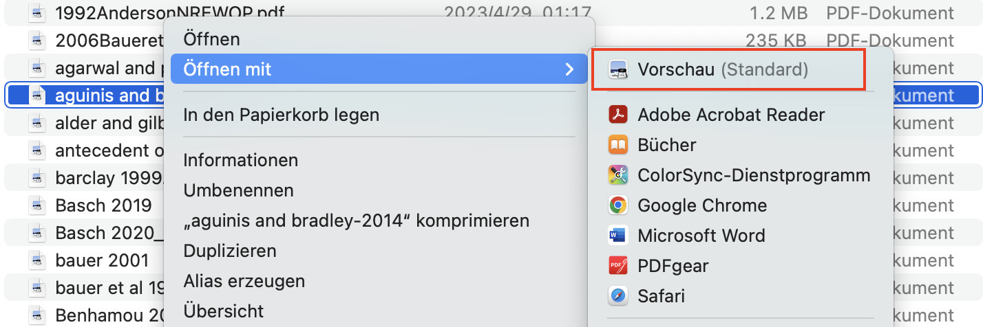 PDF in der Vorschau öffnen