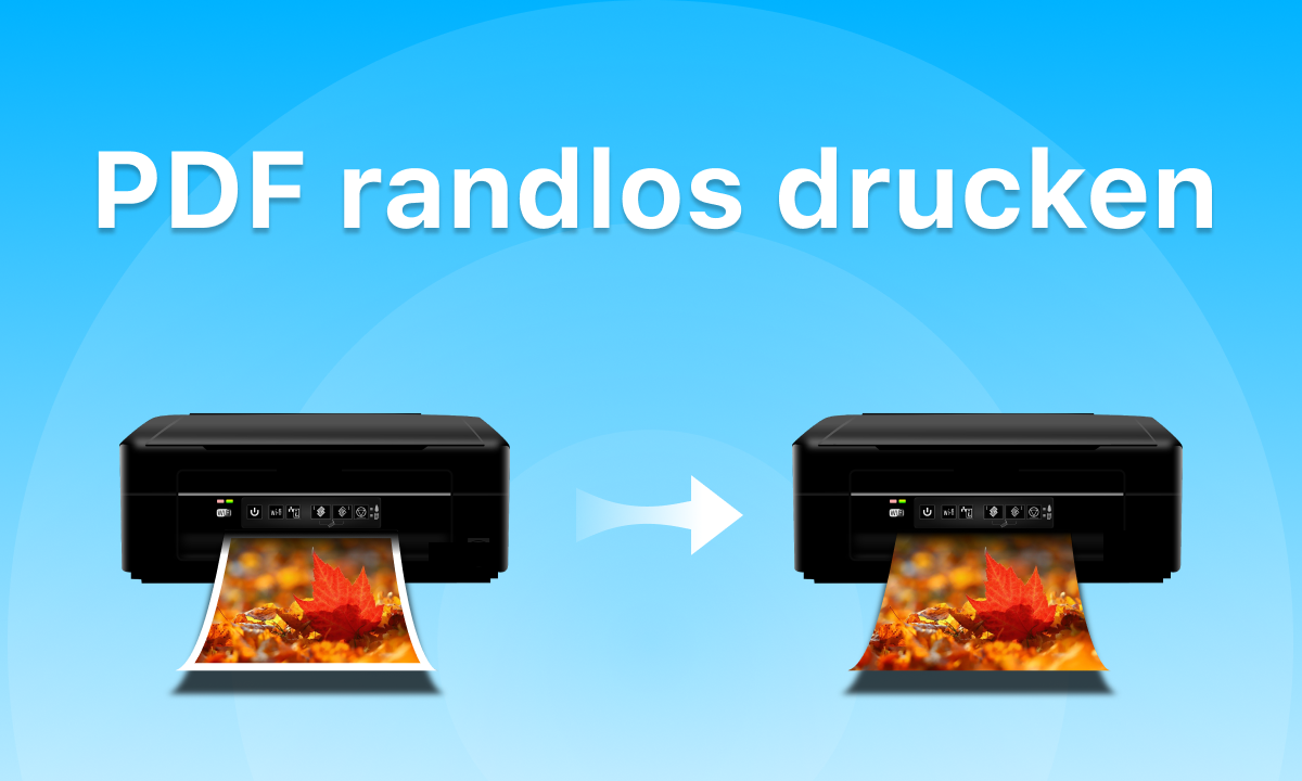 pdf randlos drucken