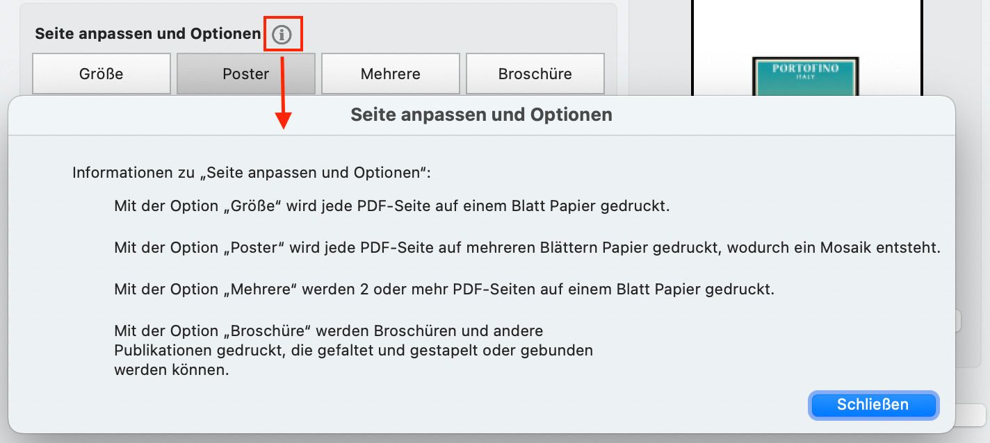 Seite anpassen und Optionen