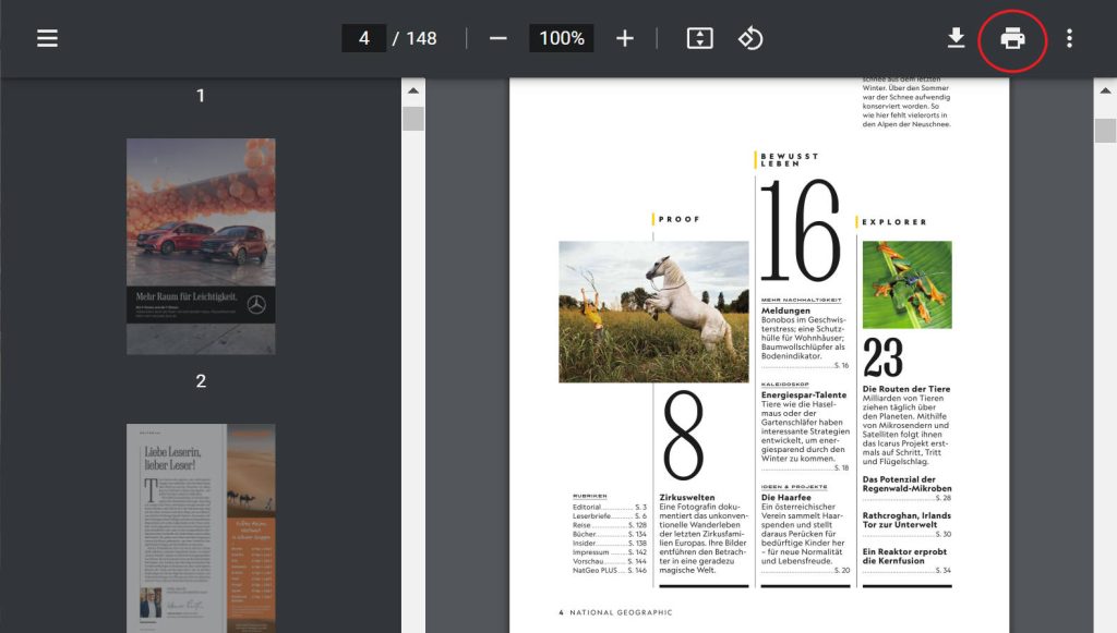 pdf im browser anzeigen