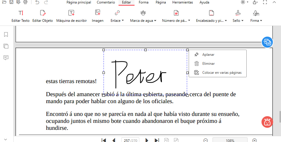 Ajustar los Detalles de la Firma