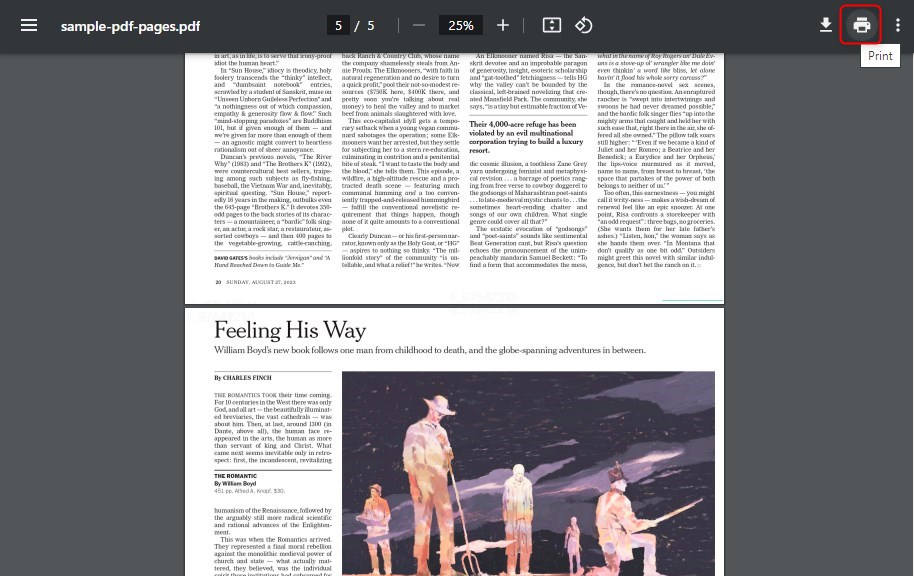 Haz clic en el ícono de la impresora en Google Chrome