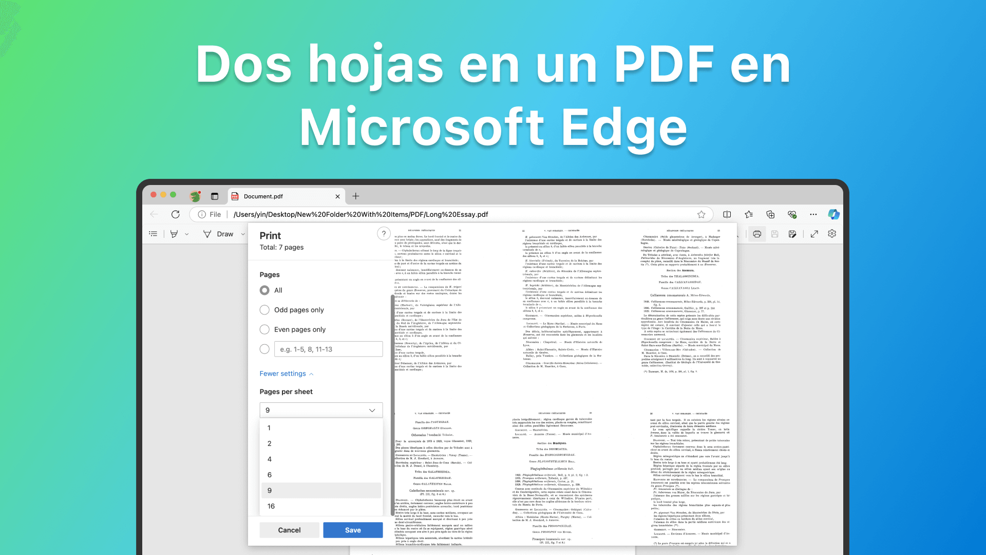 Dos hojas en un PDF en Microsoft Edge