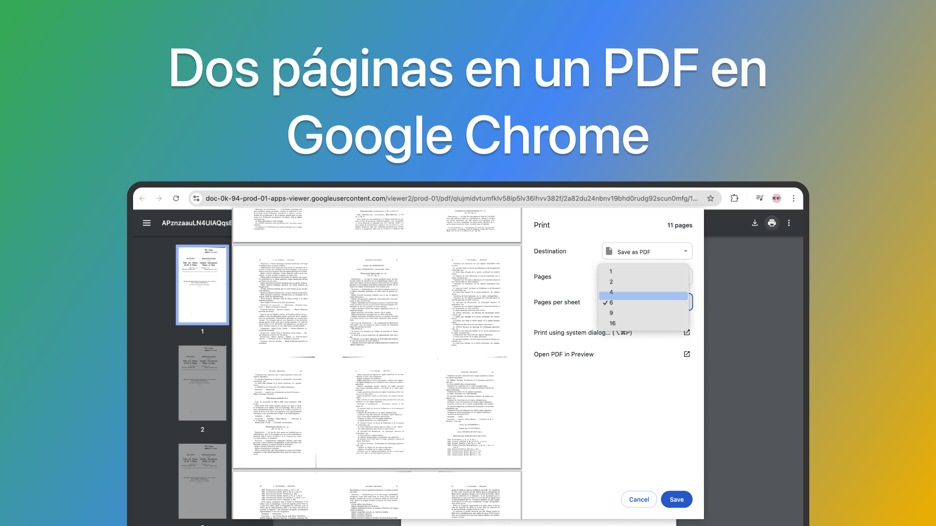 Dos páginas en un PDF en Google Chrome