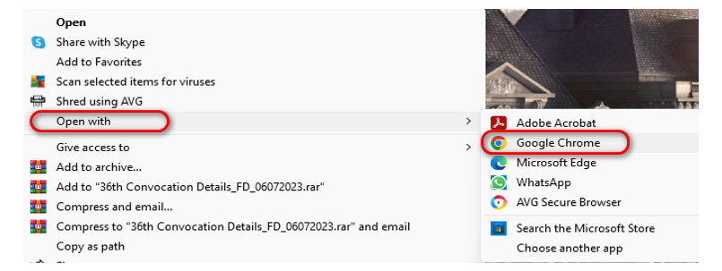 Abrir PDF en el Navegador