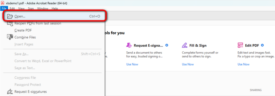 Abrir PDF en Acrobat Reader