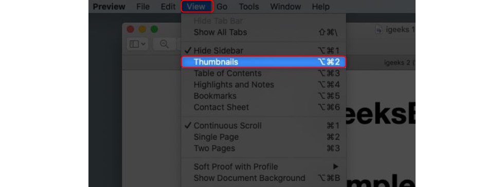 Ver las Miniaturas en Vista Previa