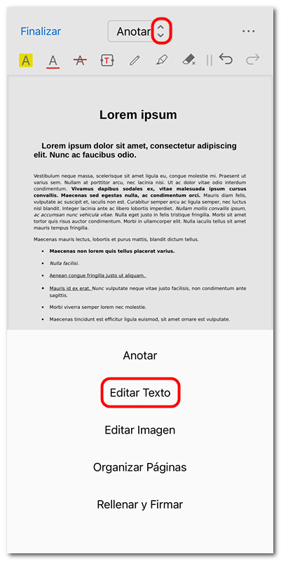 Abrir el modo editar texto