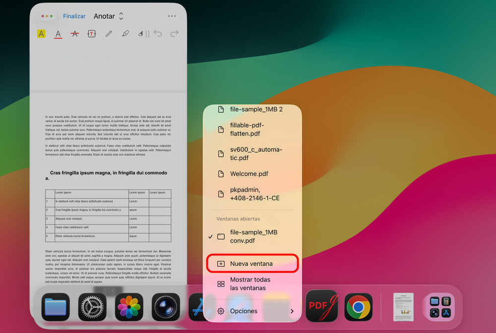 Abrir una nueva ventana de PDFgear en iPad