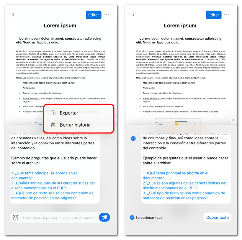 Borrar o exportar el historial del chat