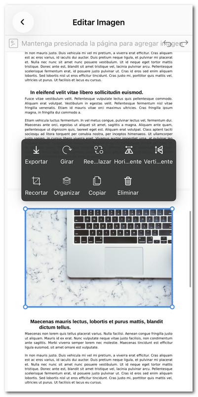 Editar la imagen existente en PDF en iOS
