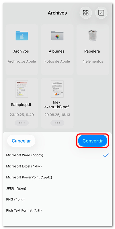 Elegir un formato para convertir