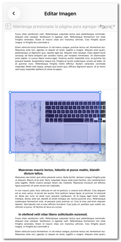 Reposicionar la imagen en PDF en iOS