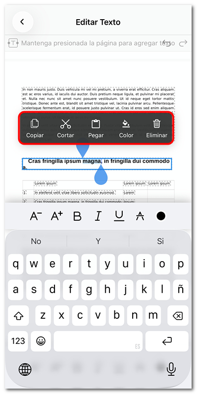 Seleccionar texto para editar en iOS
