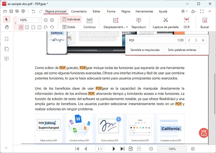 Buscar Texto en el PDF