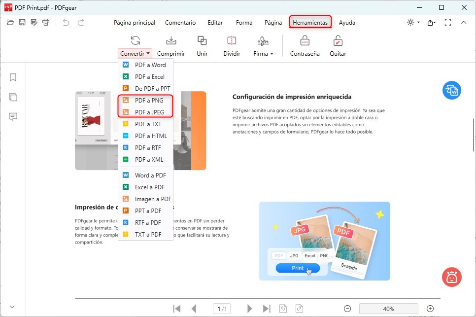 Convertir PDF a imagen